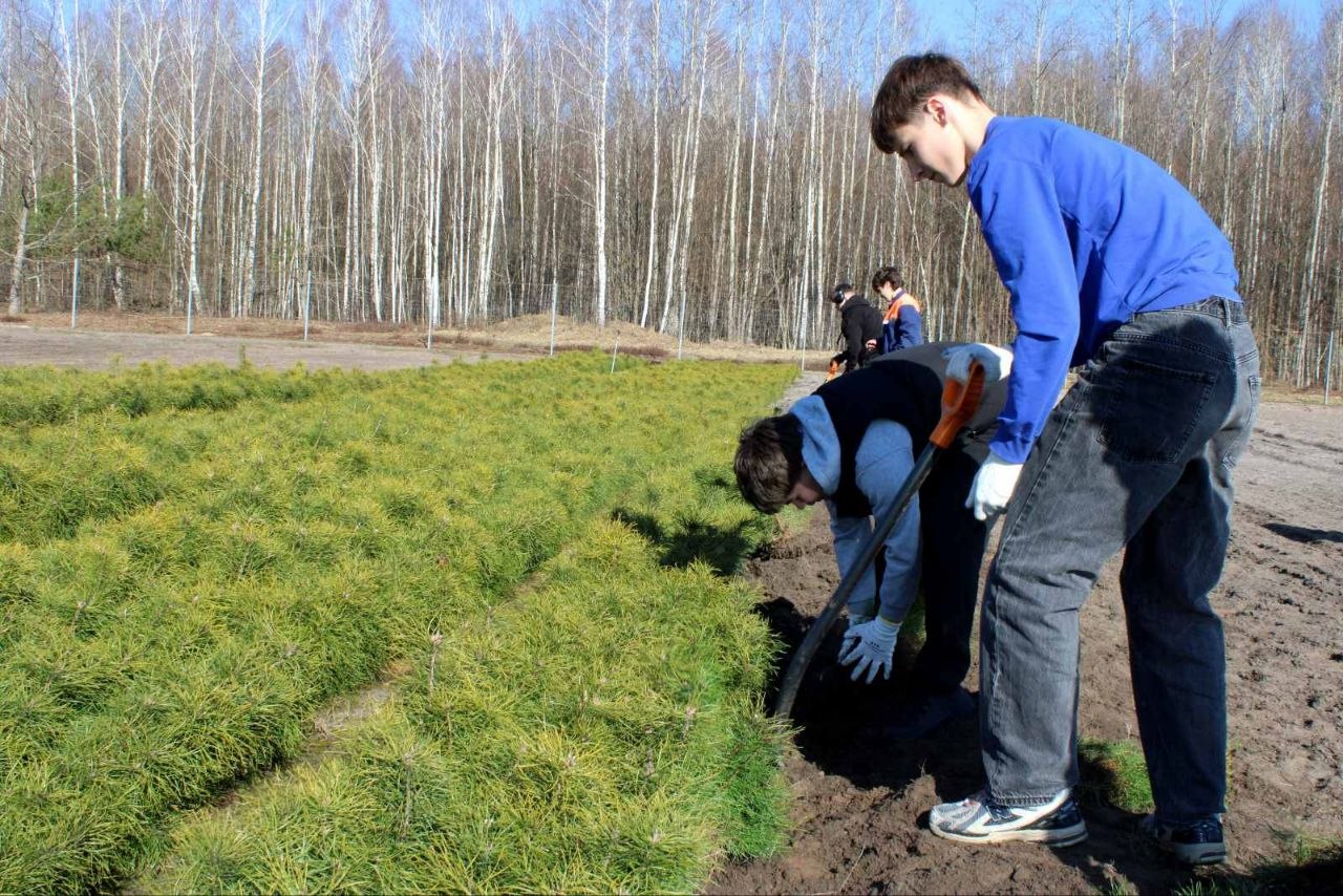 Первые дни студенческого отряда в Национальном парке «Припятский»