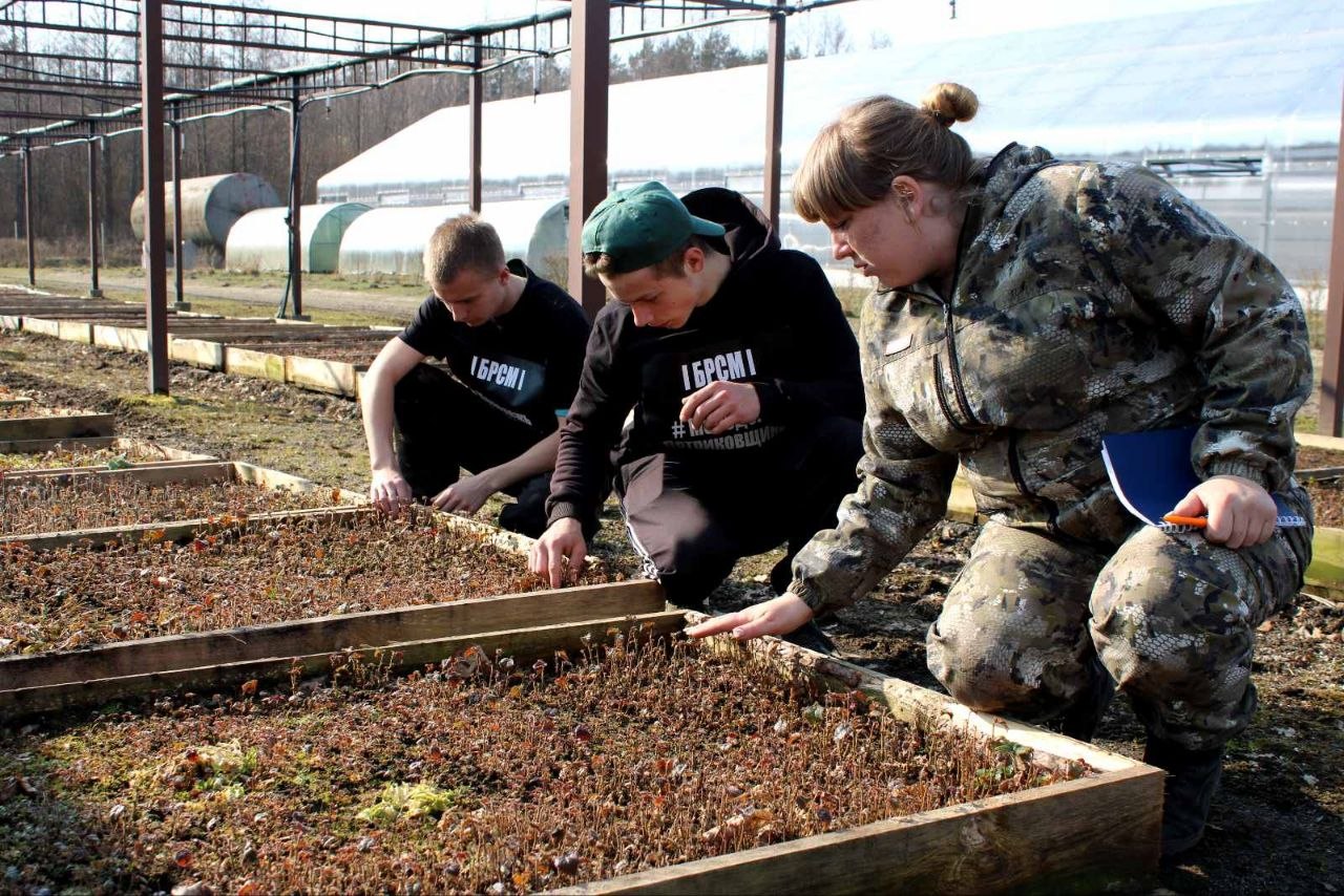 Профориентационная экскурсия в лесном питомнике