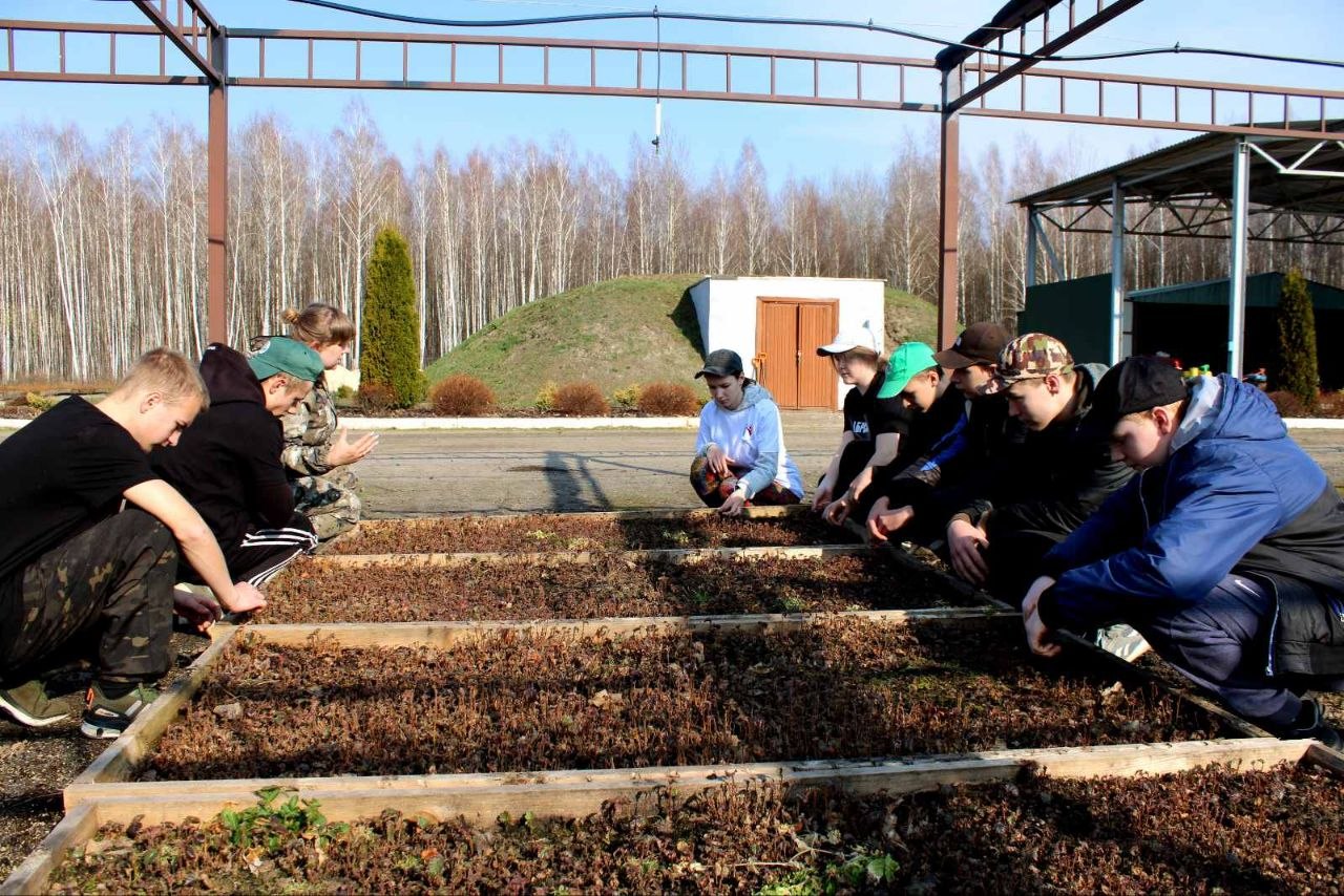 Профориентационная экскурсия в лесном питомнике