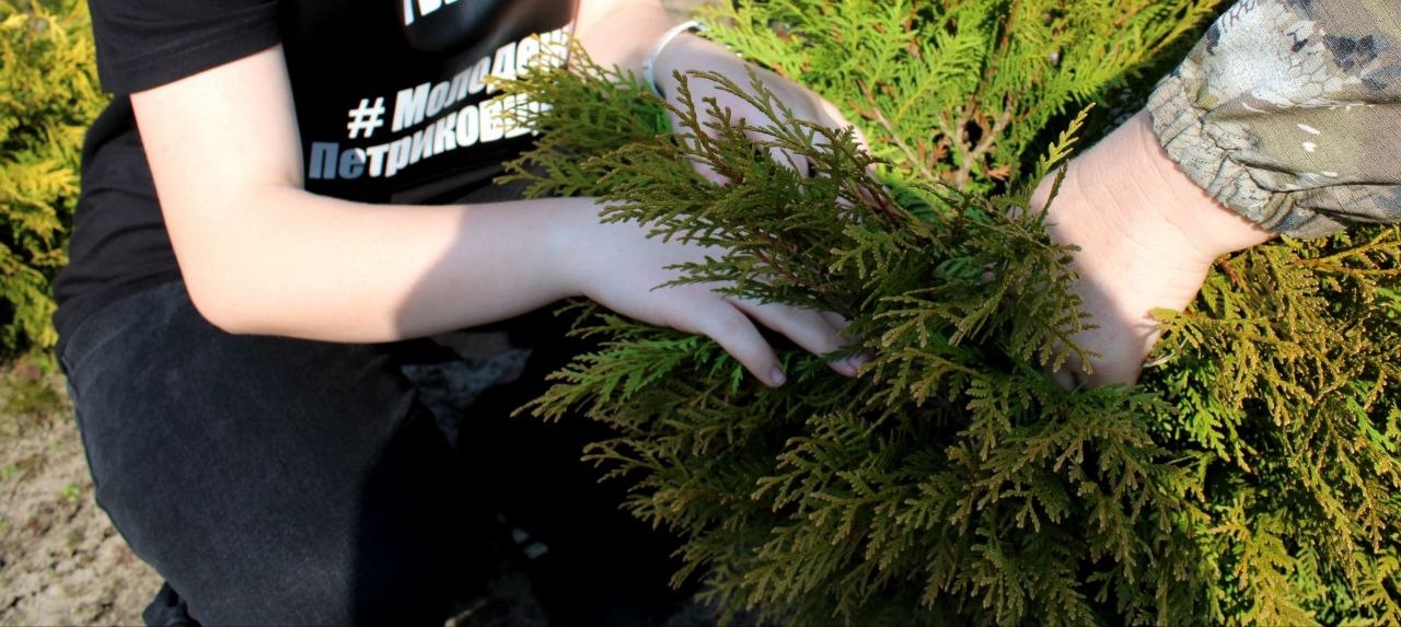 Профориентационная экскурсия в лесном питомнике