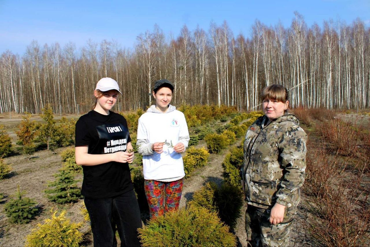 Профориентационная экскурсия в лесном питомнике