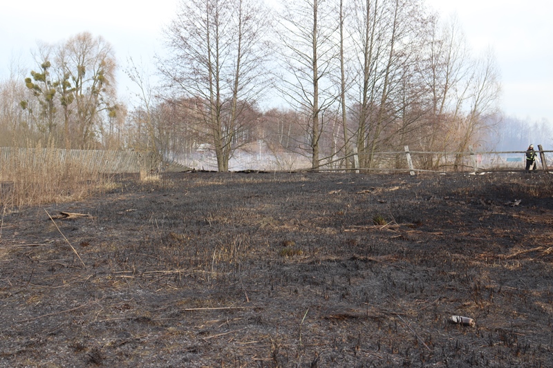 Огонь весне не товарищ: как МЧС борется с опасной традицией палов сухой травы