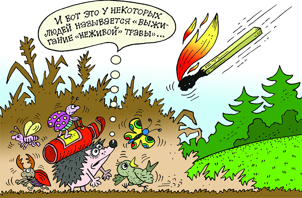 В Петриковском районе пройдет специальное профилактическое мероприятие «Зелёный щит»