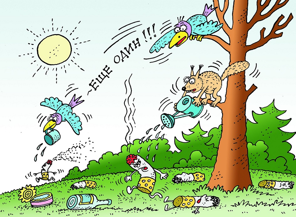 Пал травы – преступление против природы: все о весенних рисках