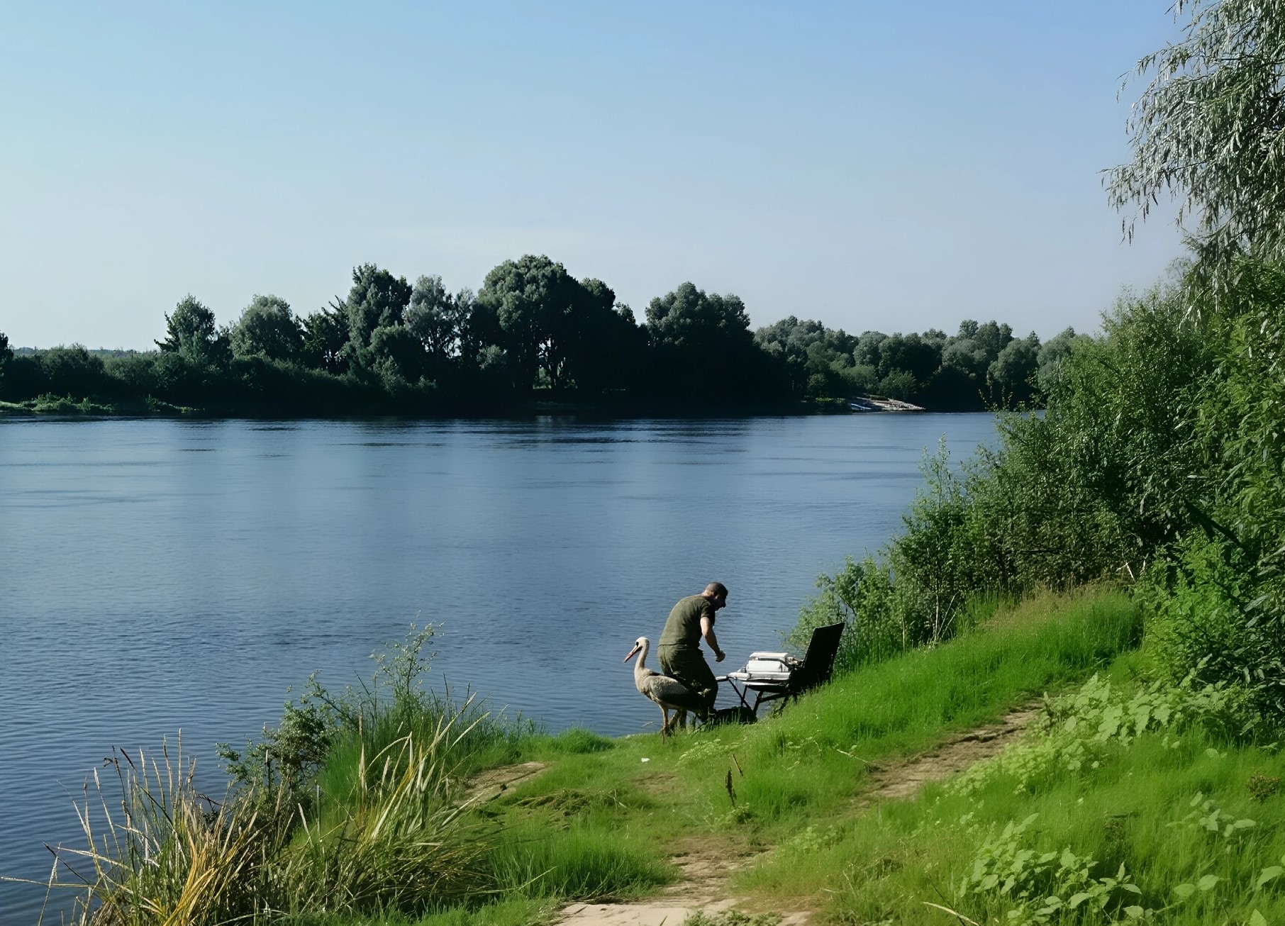 Сакрэты птушыных назваў – геаграфія і людзі