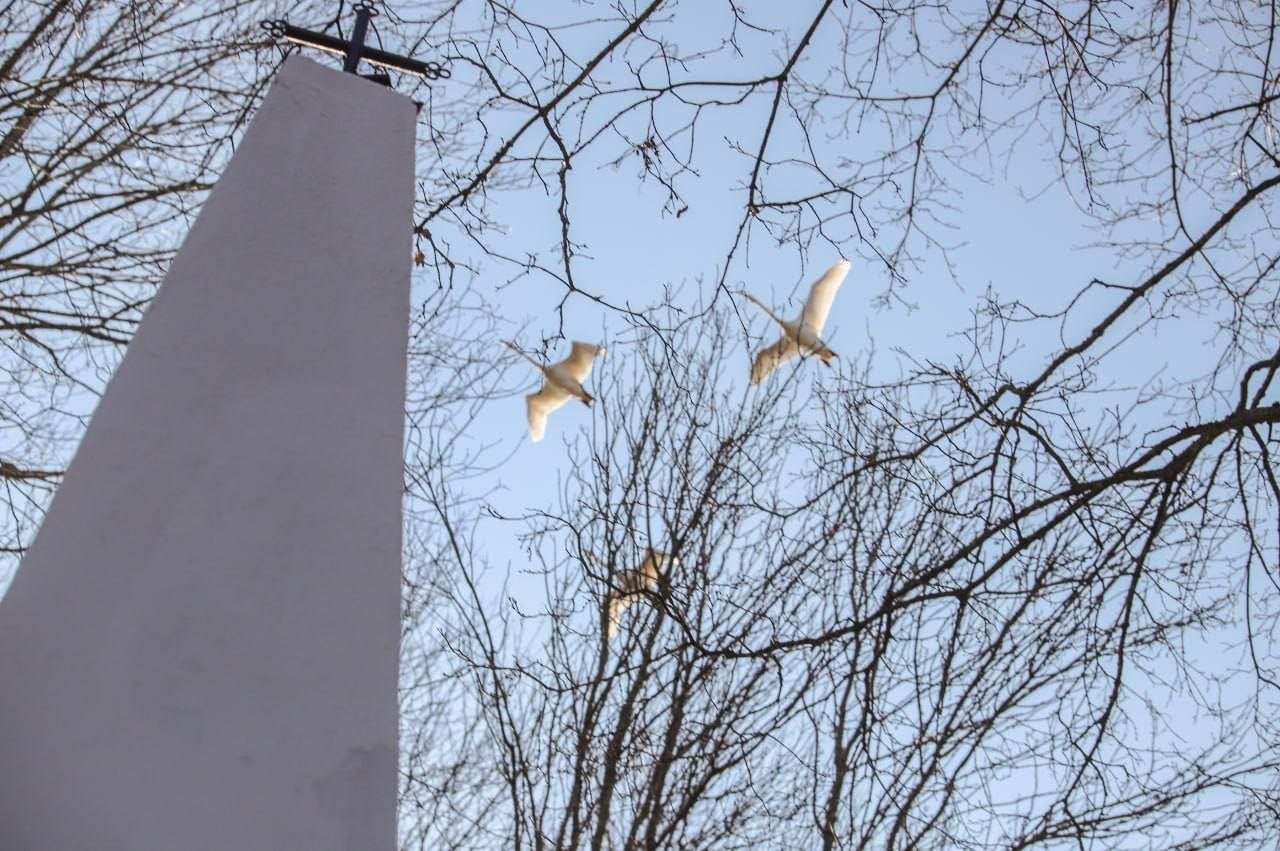 Абласная патрыятычная акцыя «Рака Памяці»