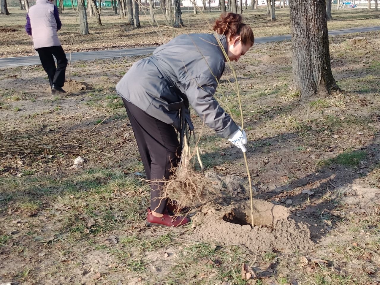 Фотофакт: Субботник на Петриковщине!