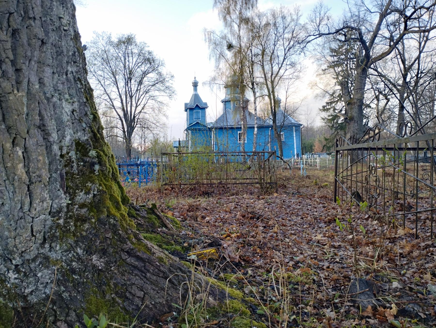 Гармонія стагоддзяў: царква, камяні і дубы-волаты