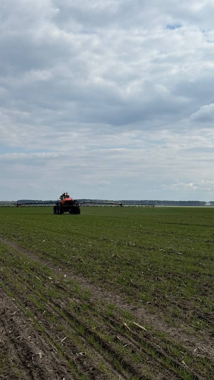На палетках ААТ "Чалюшчавічы" кіпіць работа!