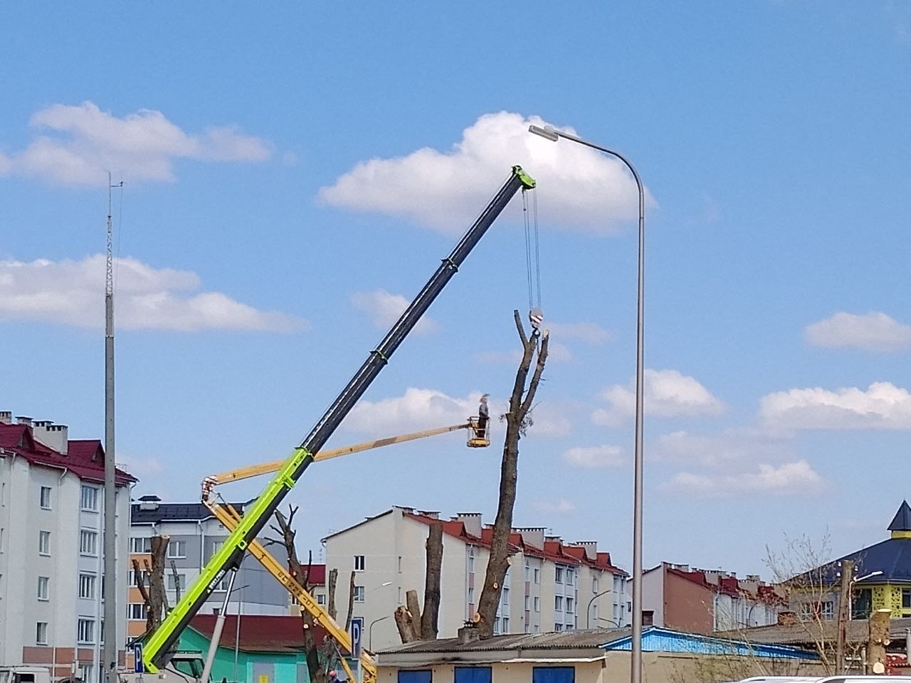 Работы на вуліцы Дружба: Петрыкаўскі райжылкамгас працягвае догляд дрэў