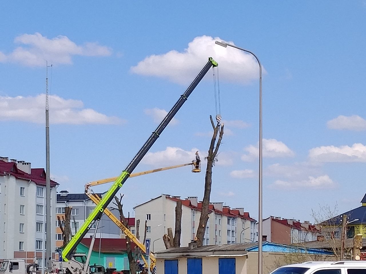 Работы на вуліцы Дружба: Петрыкаўскі райжылкамгас працягвае догляд дрэў