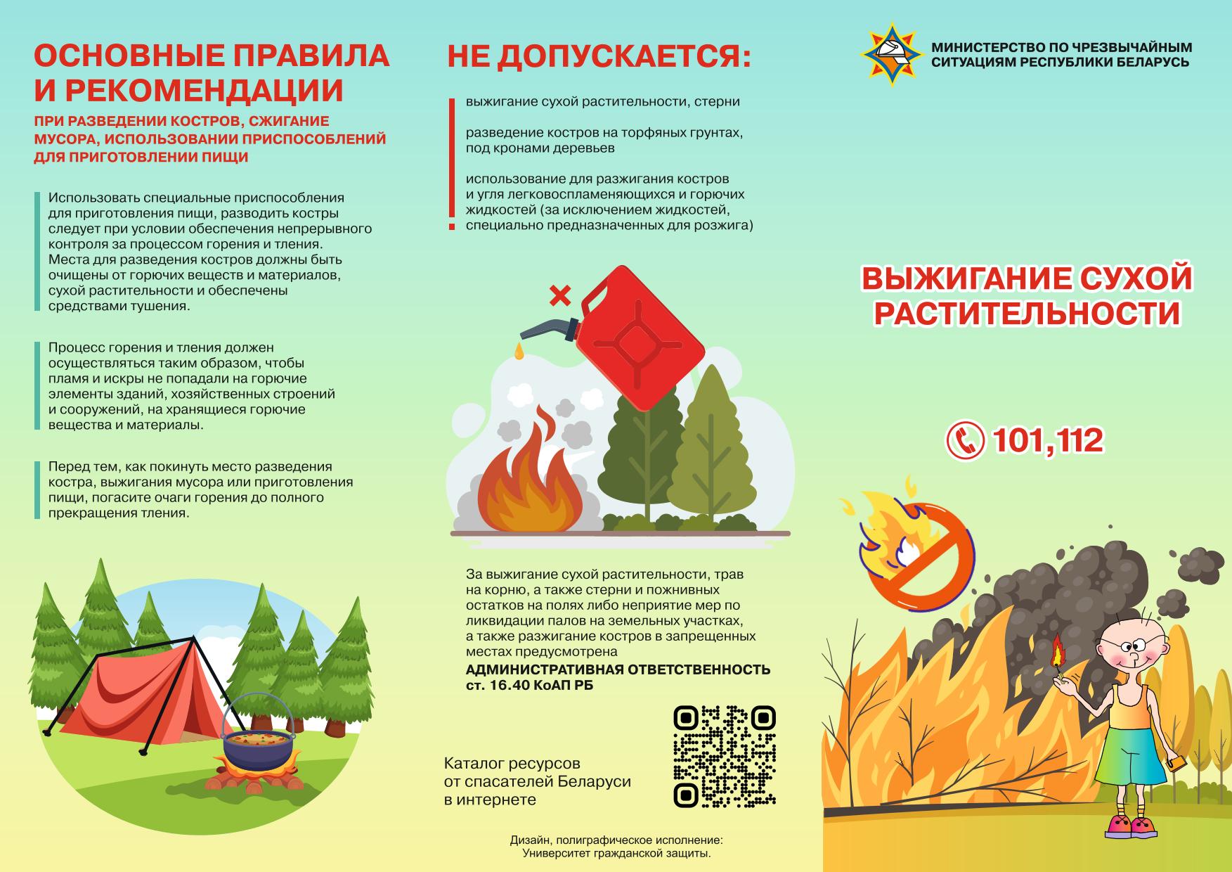 С начала года в области зафиксировано 269 пожаров в природных экосистемах