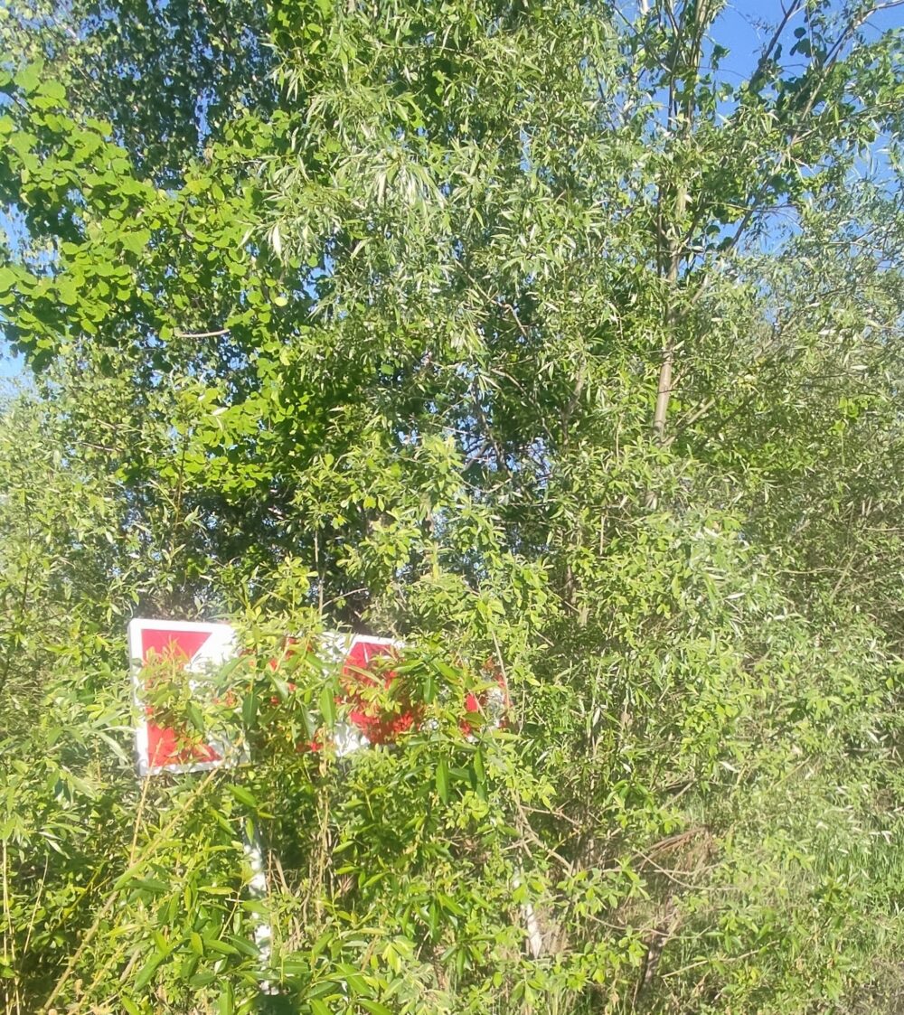 Забыты знак на вуліцы Акцябрскай