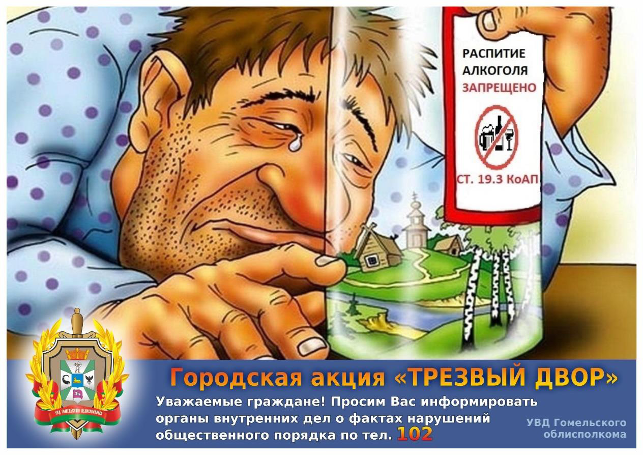 О проведении профилактической акции «Трезвый двор» на территории Петриковского района