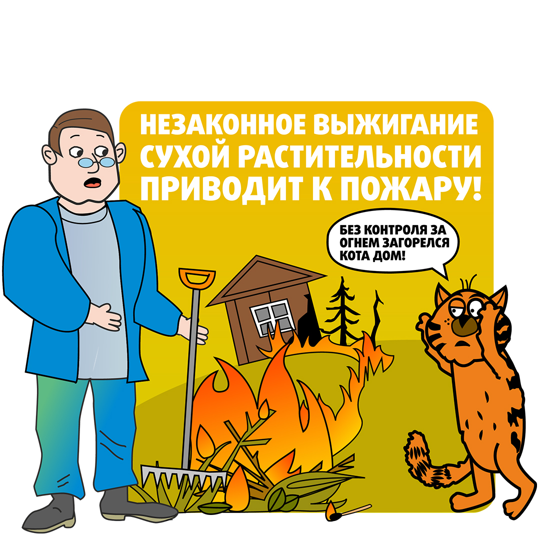 С начала года в Петриковском районе зафиксировано 72 пожара в природных экосистемах  