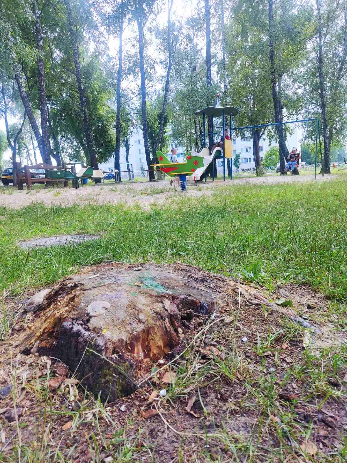 Небяспечны пень на дзіцячай пляцоўцы