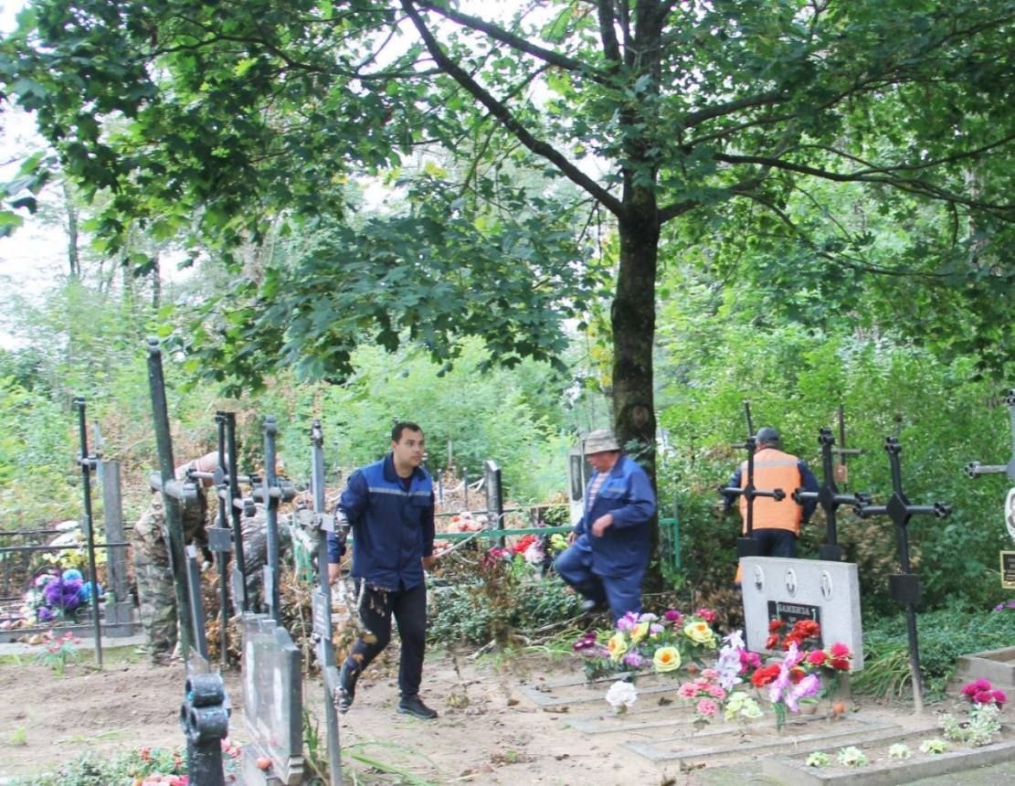 Сёння на Гомельшчыне праходзіць абласны суботнік