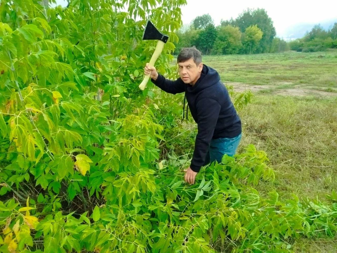 Сёння на Гомельшчыне праходзіць абласны суботнік