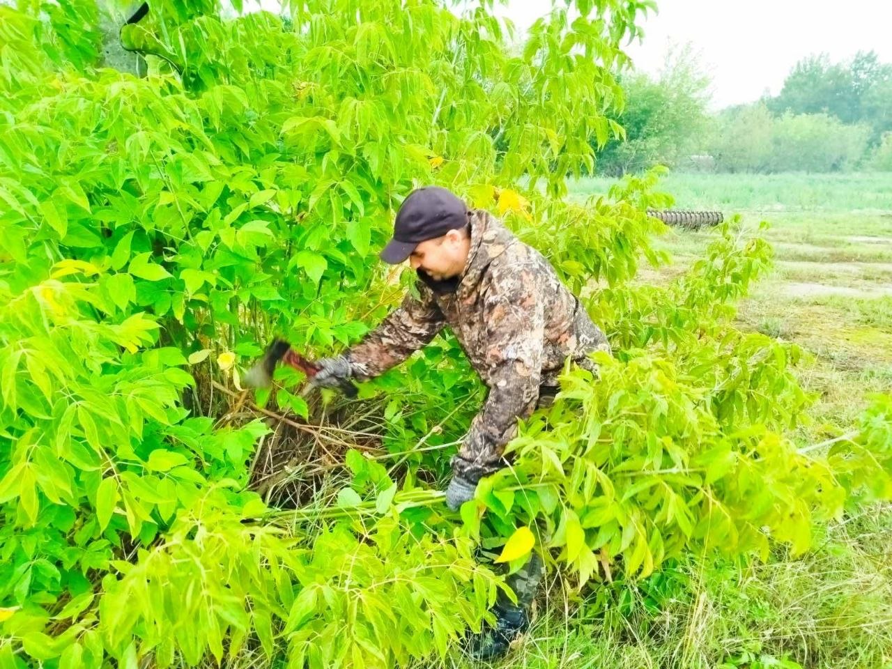 Сёння на Гомельшчыне праходзіць абласны суботнік