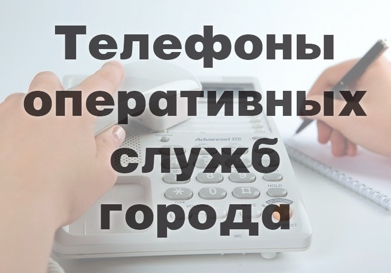 телефон телефон