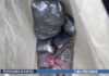 У жительницы Калинковичского района обнаружено 2 кг мефедрона: ей грозит 20 лет лишения свободы