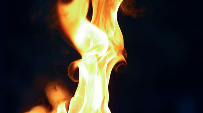 000024_1768460655_759042_big