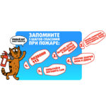 Рост огненных ЧС в 2 раза: сложная обстановка с пожарами наблюдается в Гомельской области