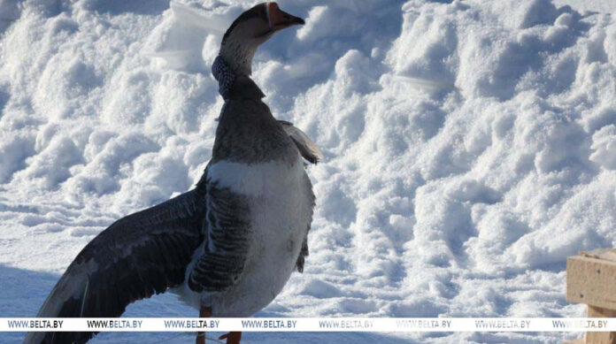 000023_1769865468_762075_big