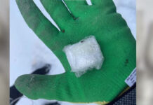 Курьера наркошопа задержали в Гомельской области