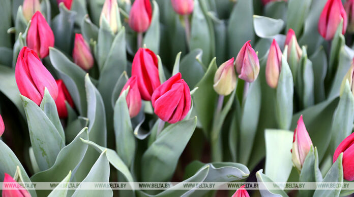 000023_1771876822_766014_big