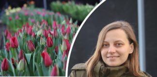 Святочны настрой ад лясгаса