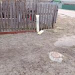 Газ без апазнавальных знакаў