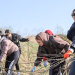 Дзень агульнай справы