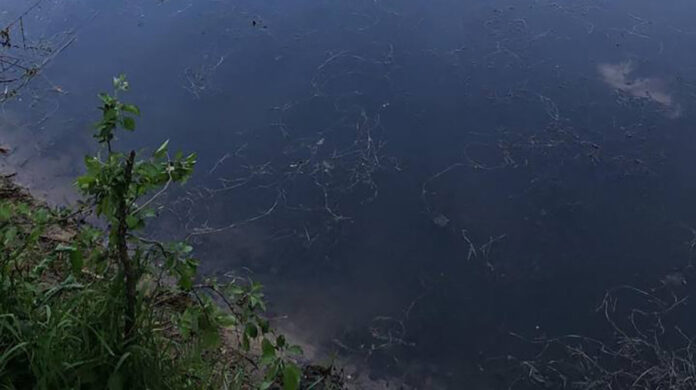 000024_1779016273_781116_big