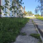 Час расчахліць трымеры