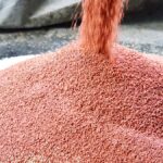 Беларусь як надзейны пастаўшчык