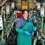 Шлях да стабільнасці