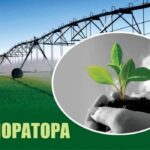 Паважаныя работнікі і ветэраны меліярацыйнай галіны!