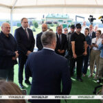 Лукашенко поручил выработать четкую программу по разведению в Беларуси красной породы коров