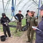 Контроль за организацией труда студенческих отрядов: итоги проверки в Петриковском лесхозе