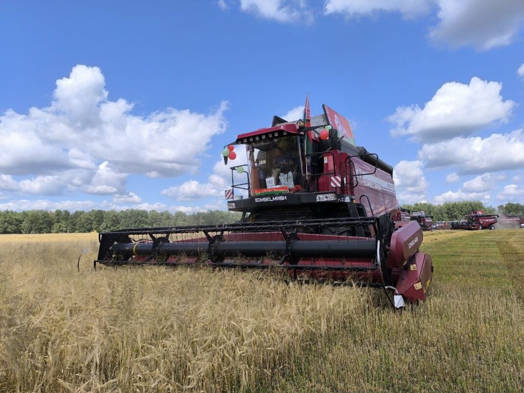 photo_5431809976813951288_y
