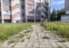 Пешаходныя дарожкі зарастаюць бур’яном