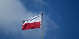Лішнія ў чужой краіне