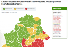 Карта запретов и ограничений на посещение лесов в Гомельской области