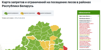 Карта запретов и ограничений на посещение лесов в Гомельской области