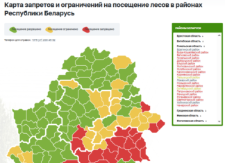 Карта запретов и ограничений на посещение лесов в Гомельской области