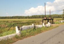 Агароджу варта абнавіць