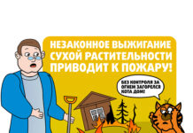 Как навести порядок и не попасть в беду!