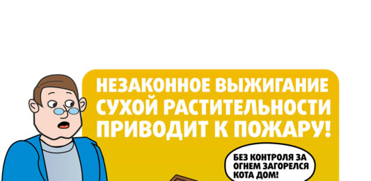 Как навести порядок и не попасть в беду!