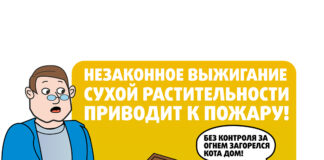 С начала года в Петриковском районе зафиксировано 72 пожара в природных экосистемах
